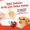 Wanpy Somonlu Kaşık Krema Kedi Ödül Maması 10x16 gr